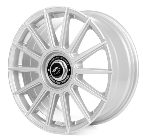 Damina Performance Silver Wheels